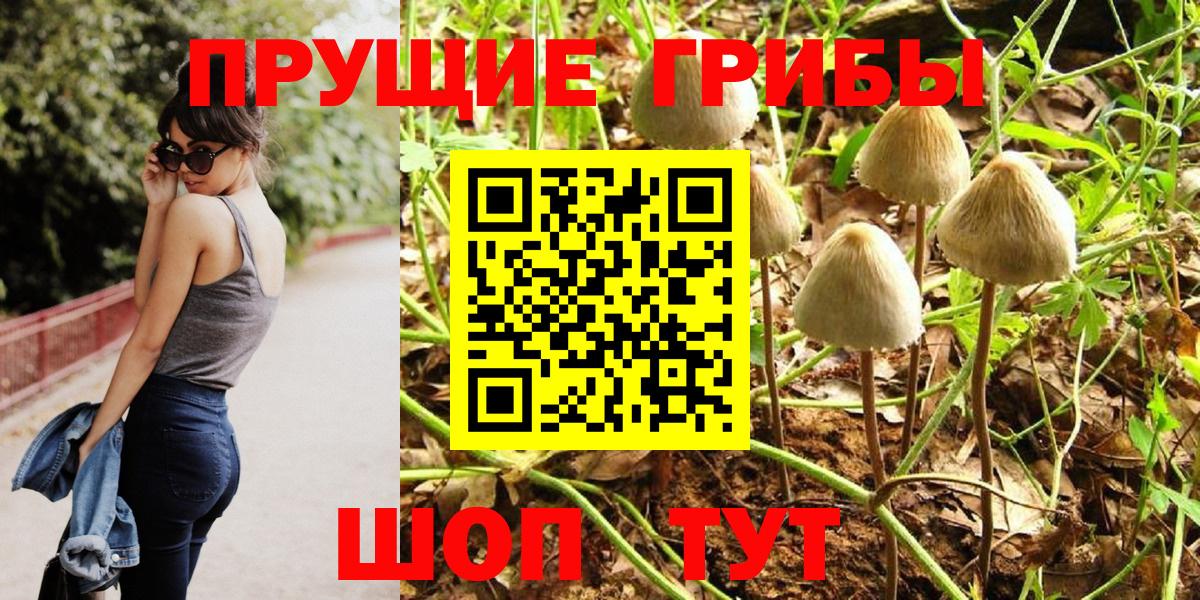 Псилоцибиновые грибы Magic Shrooms  Вход с VPN  Кимовск  Галлюциногенные грибы Cubensis 